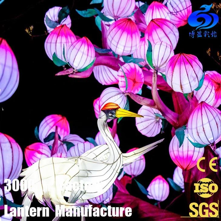 chinese lantern show